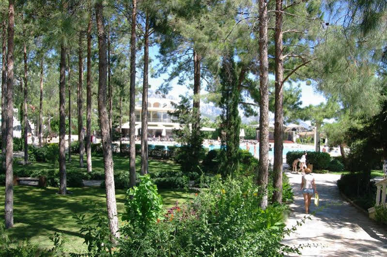 Club Zigana Hotel Beldibi  Esterno foto